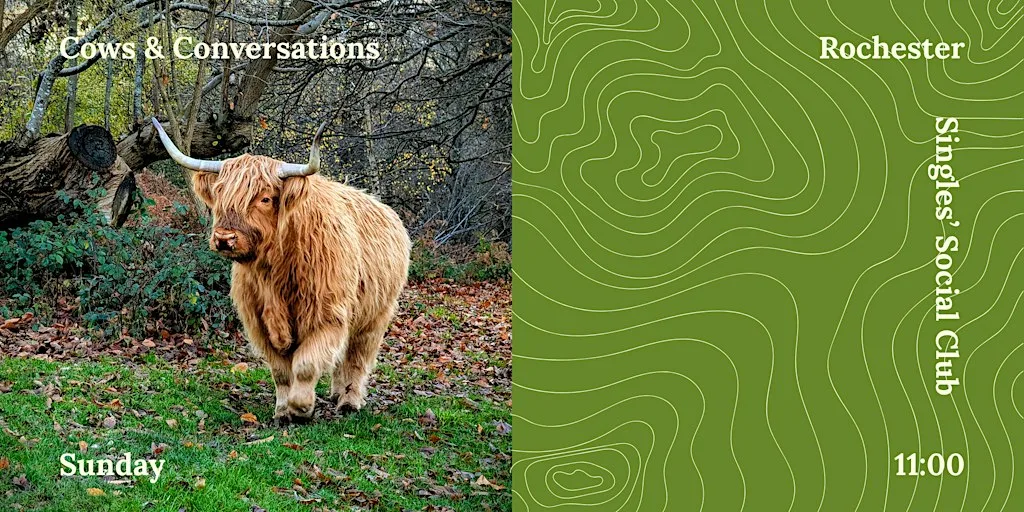 Social Hike | Woodland, Cows & Conversations | Rochester | Medway | Kent