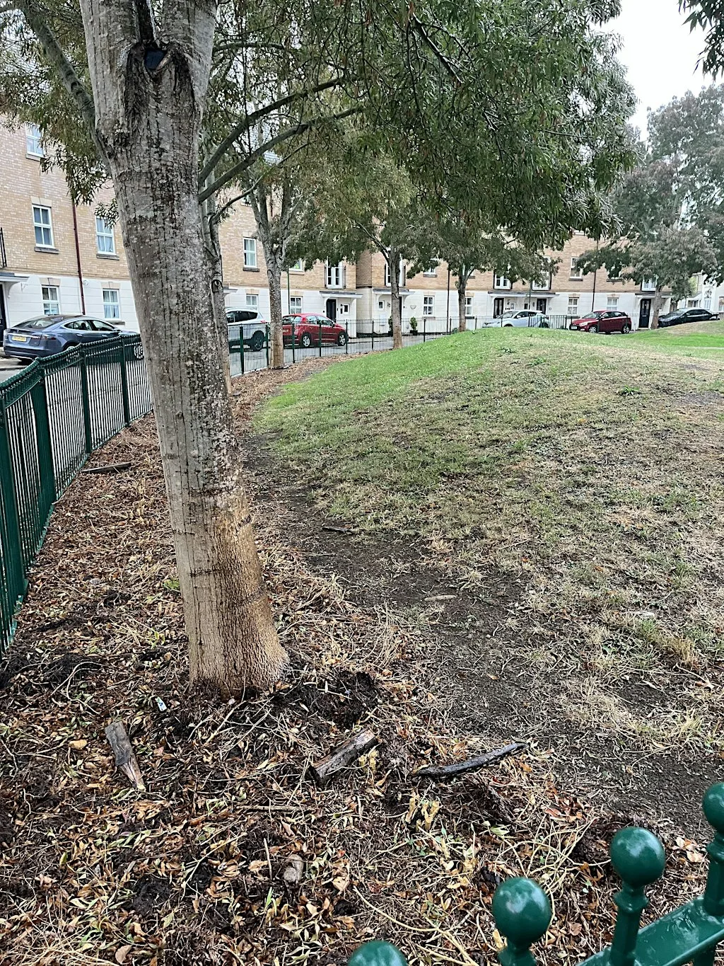 Allington Circle community tree planting Saturday 12th December 2026
