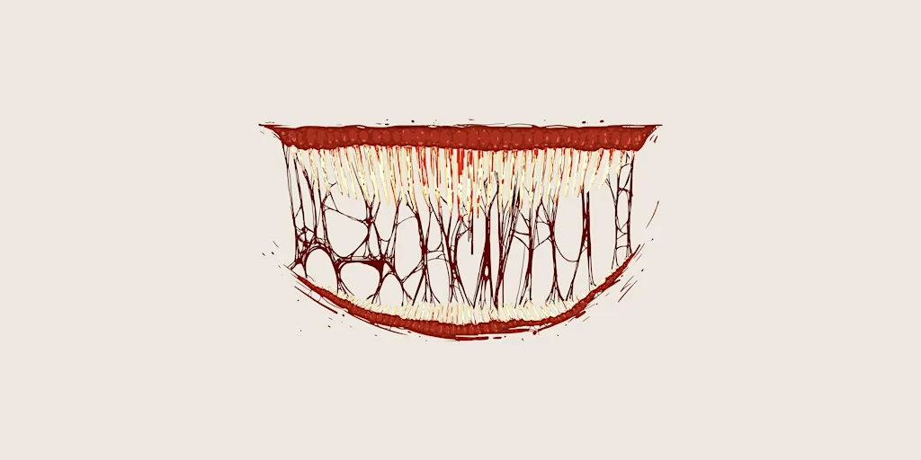The Psychology of Horror Movies: How horror speaks to the subconscious