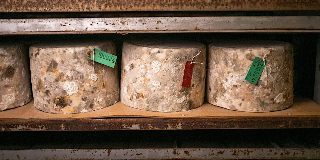 Quicke's Cheese Tour 9th July 2027 at Quicke's Farm