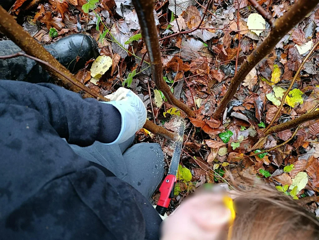Highfield and Hangingcroft Woodland Day