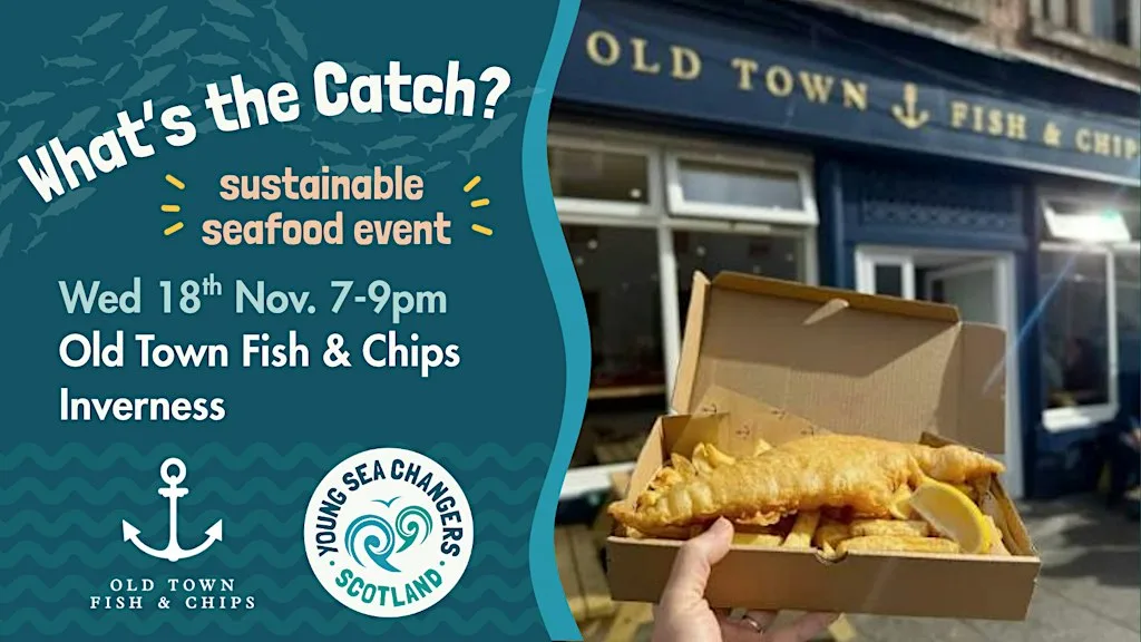 What's the Catch? Sustainable seafood event