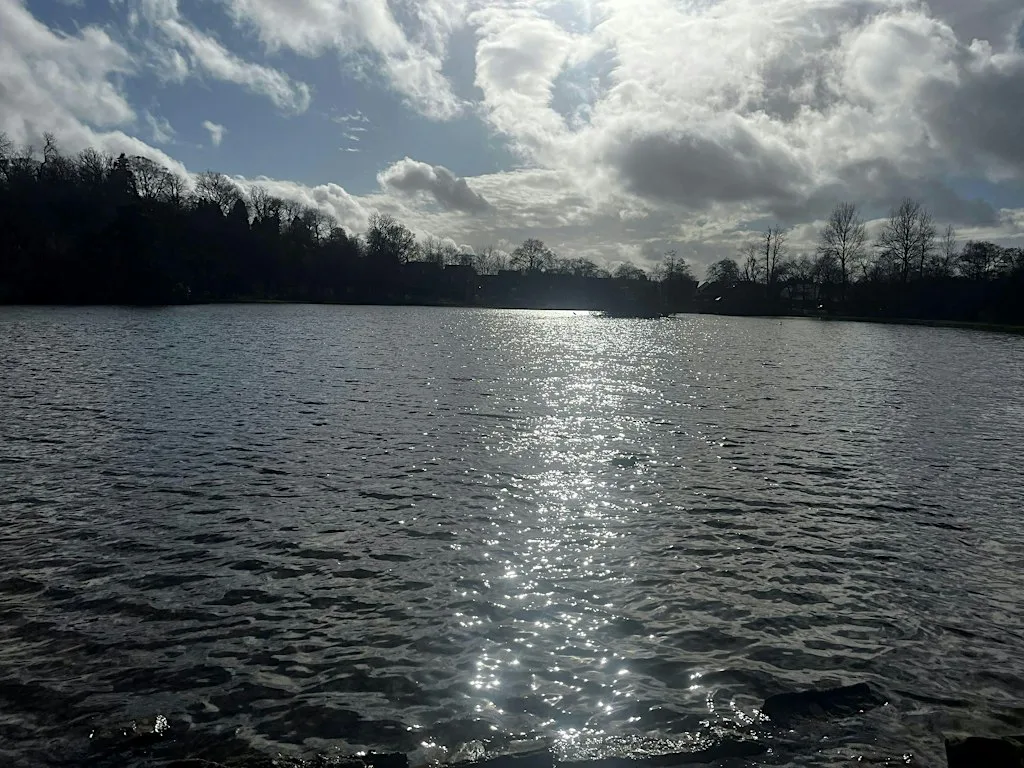 Capturing The Quiet- A Mindful Photography Wellbeing Session at Kilmardinny House Art Centre