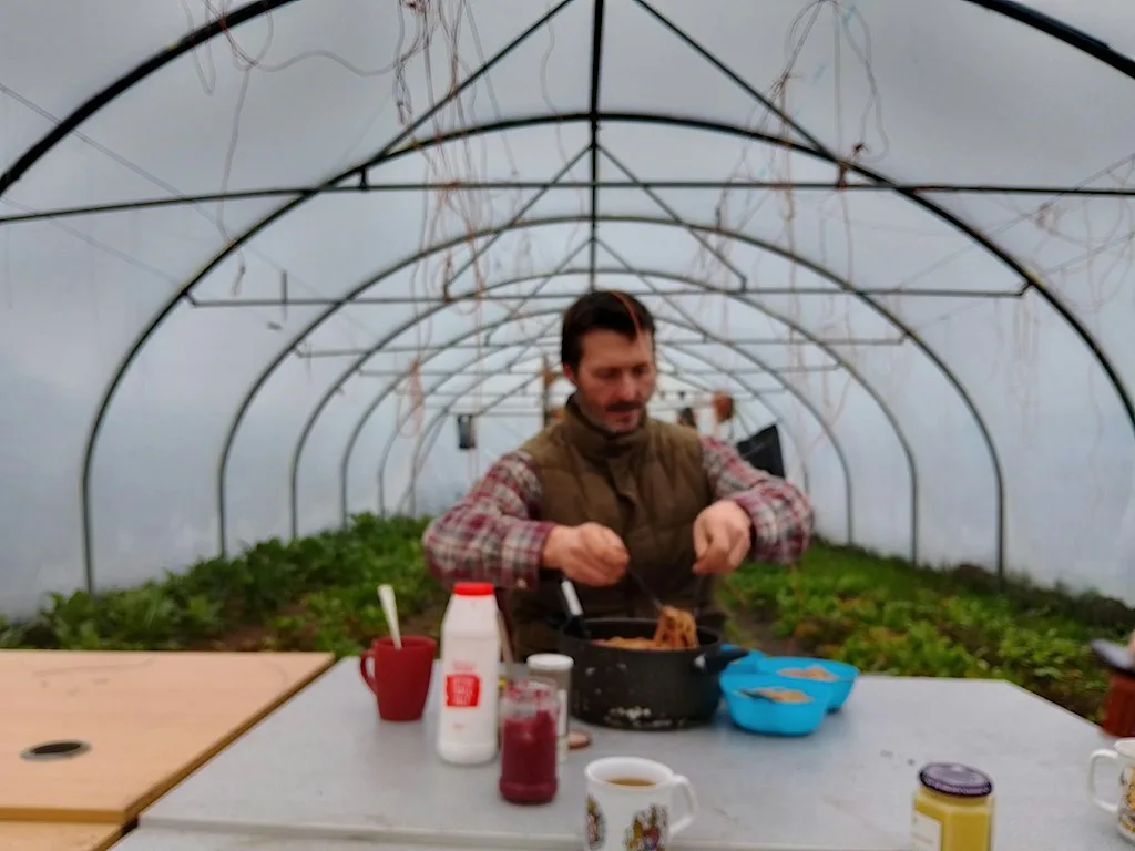 Beginner's food preserving workshop! Learn to pickle, ferment + can veg
