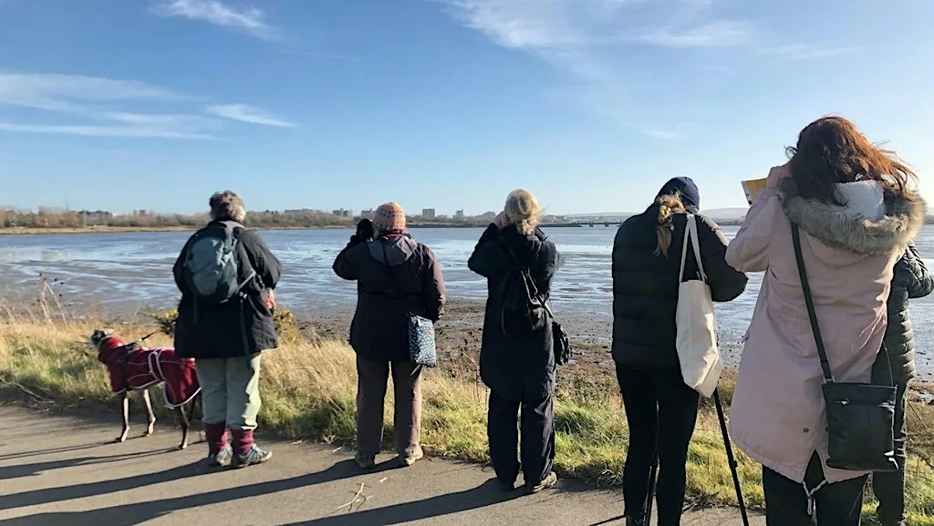Guided Beginner Bird Watching