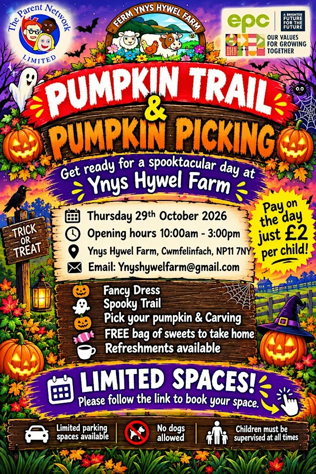 Pumpkin Trail & Pumpkin Picking