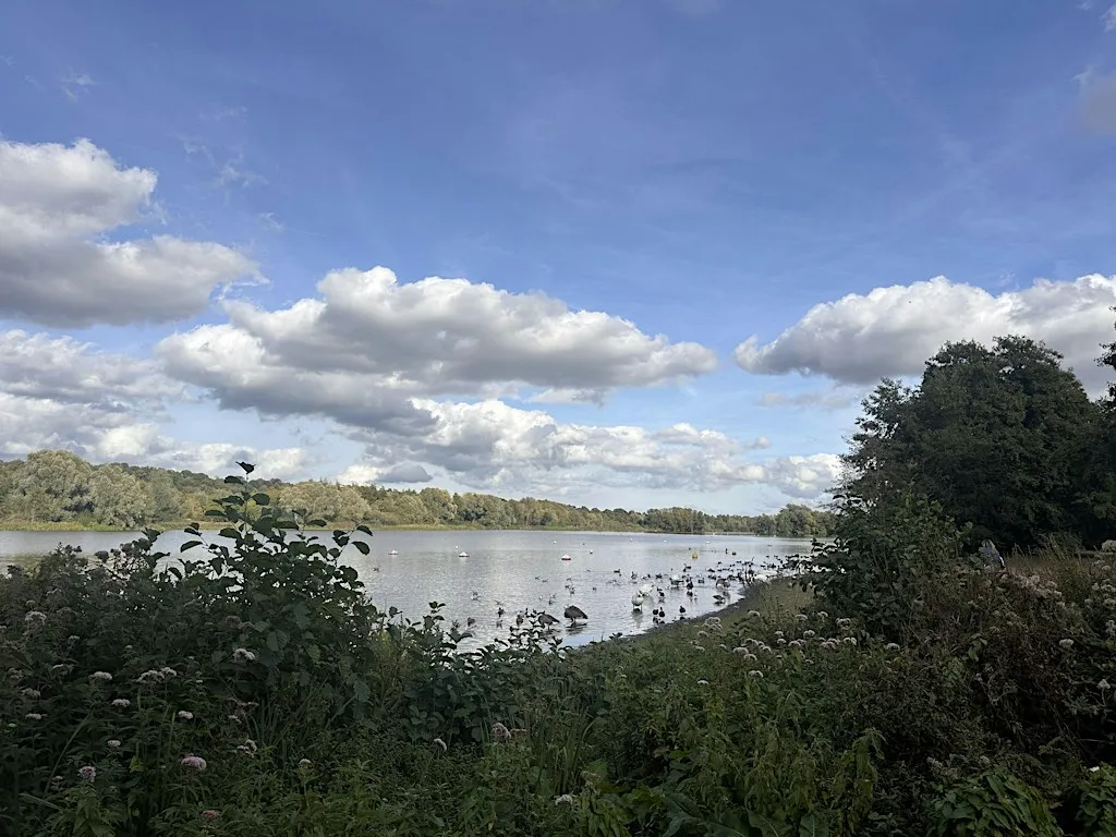 Remote & Solo workers lunchtime walk at Whitlingham Country Park