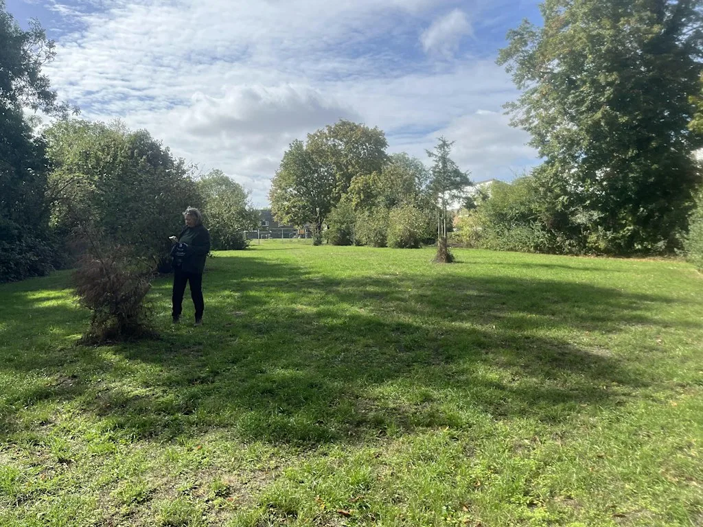 Galley Hill community tree planting event Saturday 30th January 2027