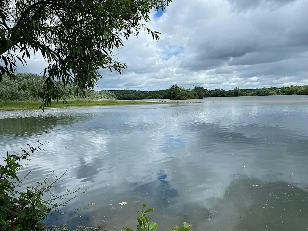 Conservation morning at Spade Oak Peninsula at Muschallik Road