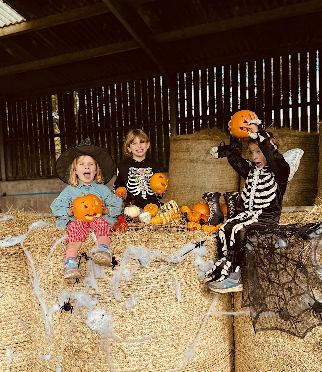 Kids' Halloween on the Farm: Witch Hazel's Ghoul Hunt, Chesterfield