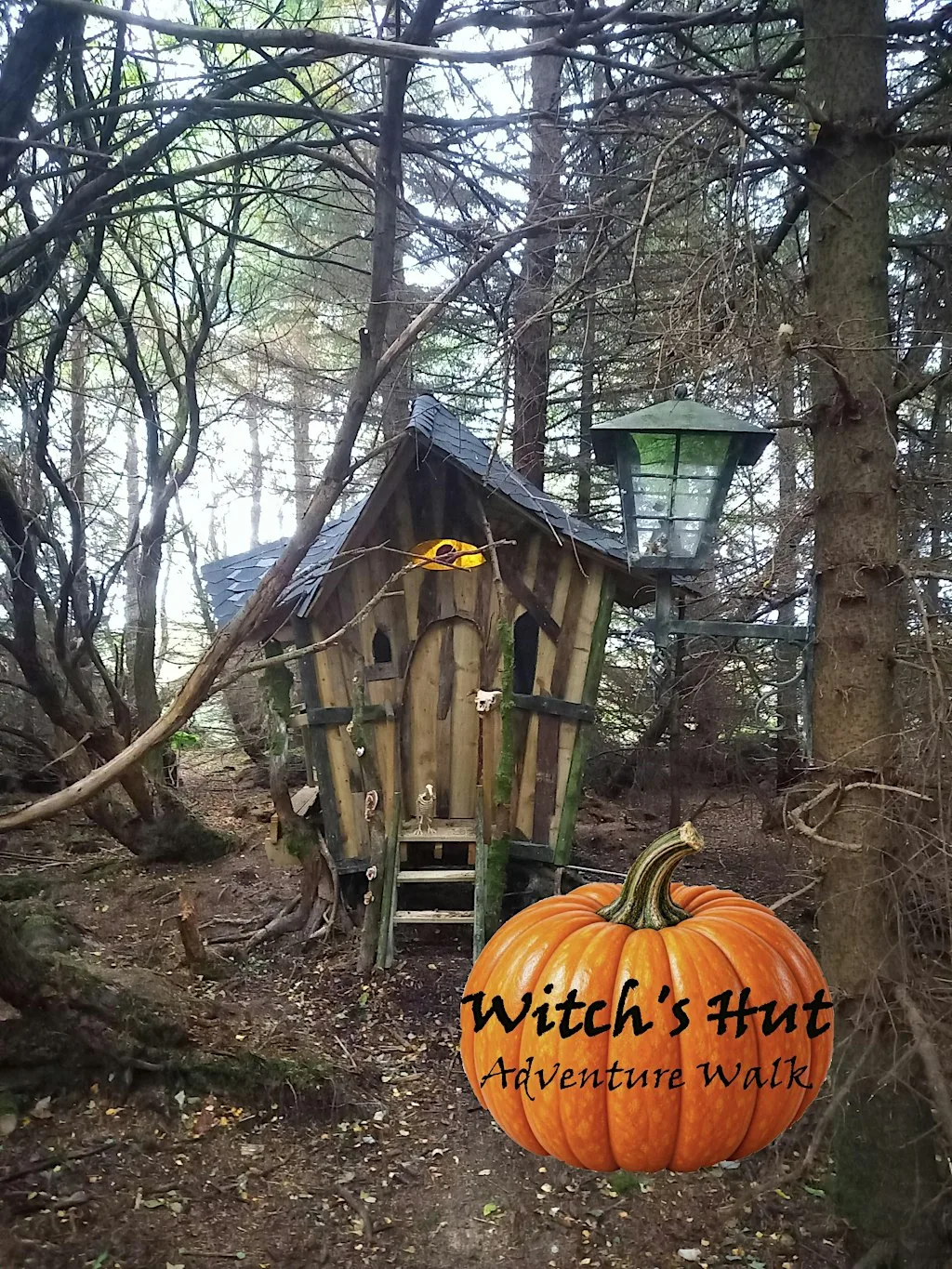 Witch's Hut Adventure Walk at Dorlindon Nature Sanctuary