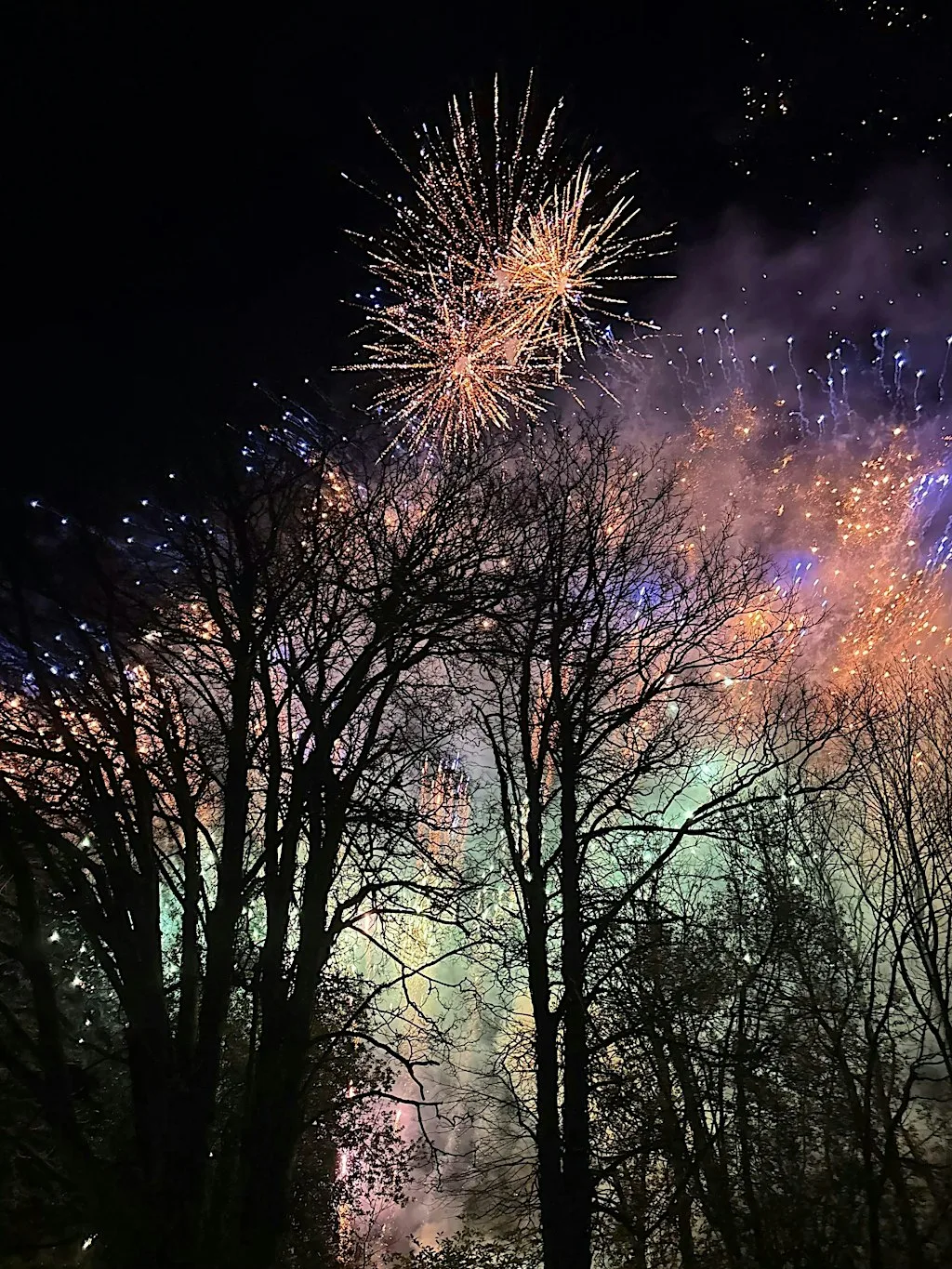 Bonfire Night At The Riverfront York