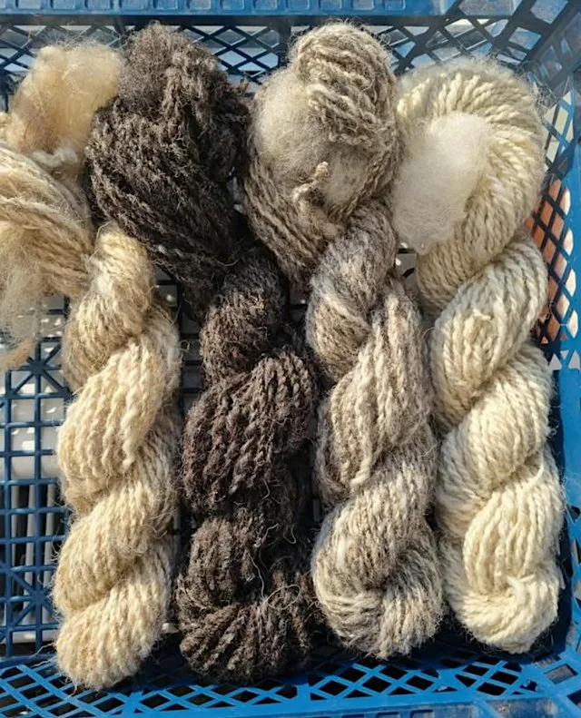 Wool Spinning Workshop with Heather at Hartcliffe City Farm