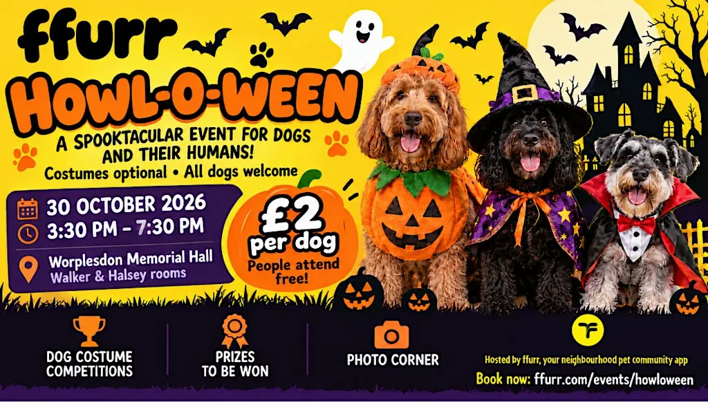 Howl-O-Ween - Guildfords Halloween dog social at Worplesdon Memorial Hall