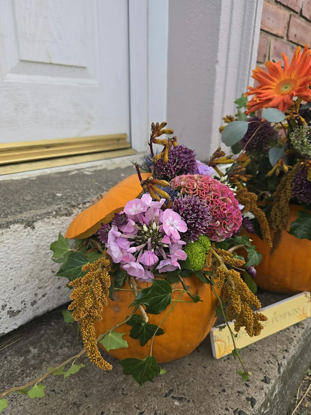 Floral Pumpkin Workshop at Daisy Rose Coffee House