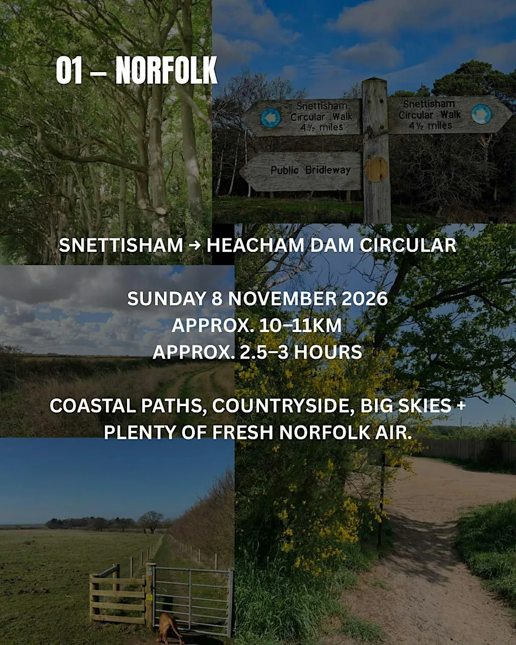 Norfolk Hike at Snettisham Beach