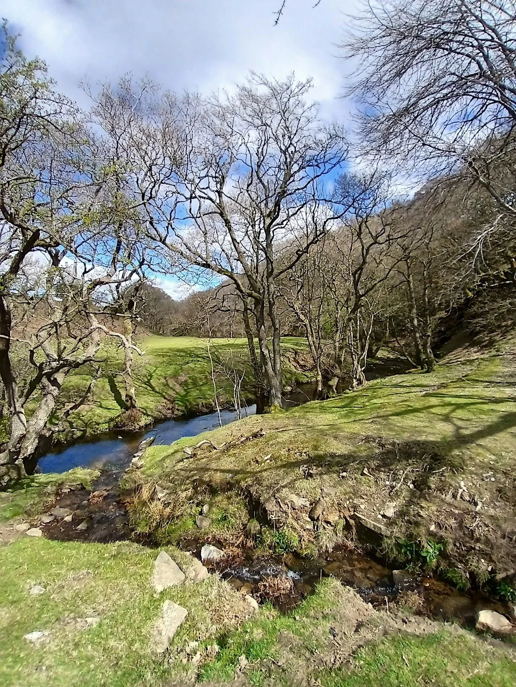 Oak & Iron Intermediate Womens Walk - at Land of Oak and Iron
