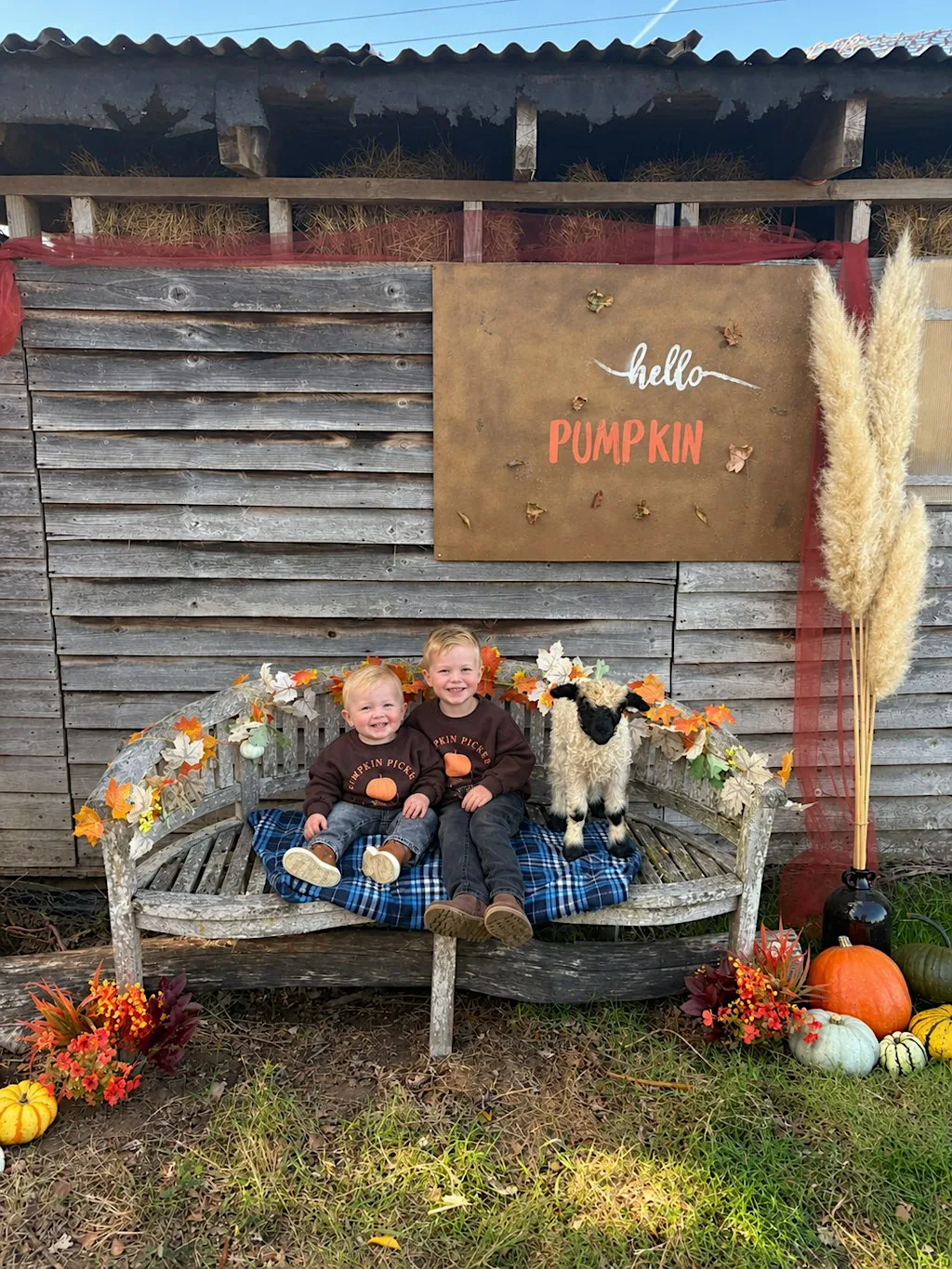 Pumpkin picking & Sheep Cuddles - Private sessions