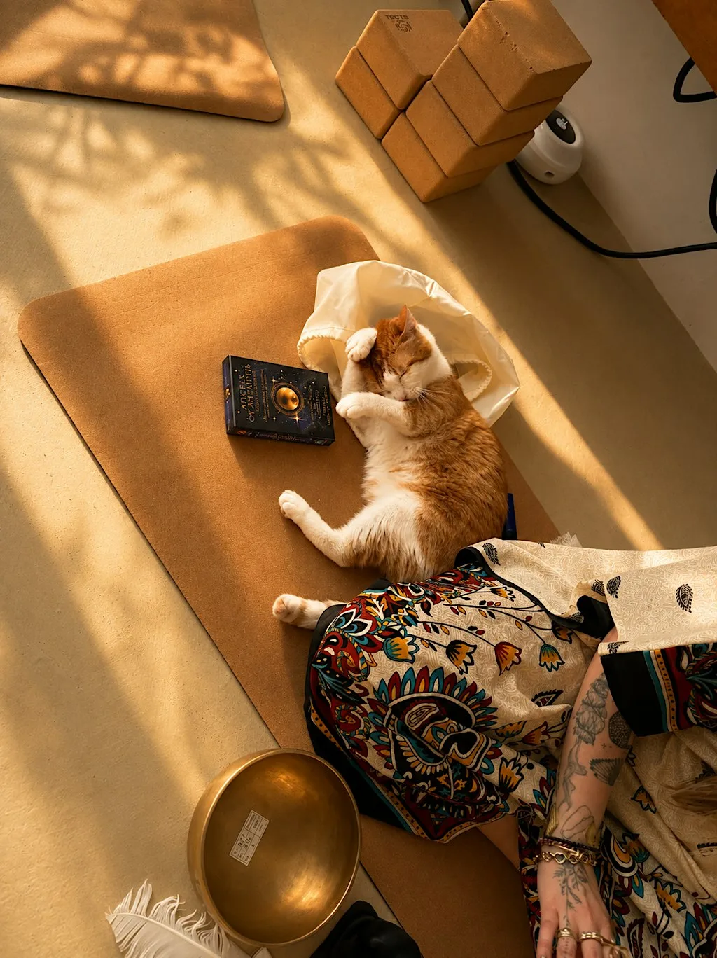Meditation & Mindful Cat Connection | SoundBath