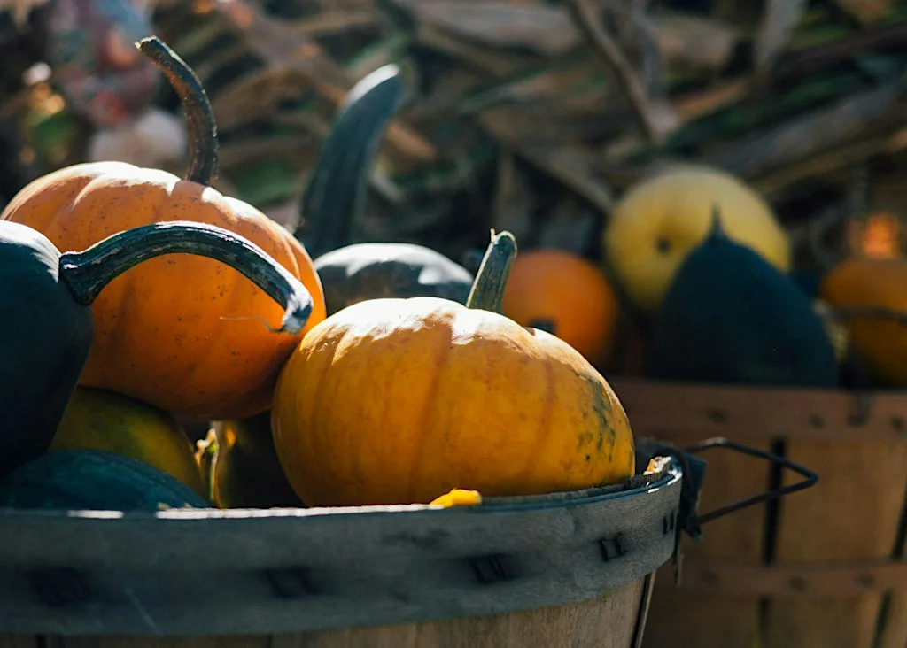 Pumpkin Painting