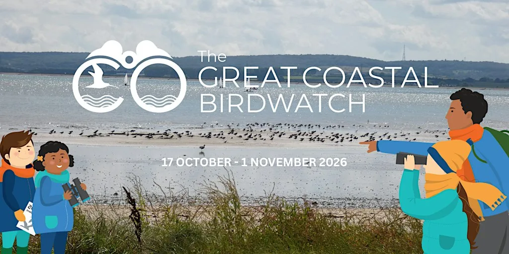 Great Coastal Birdwatch Guided Walk at KWT Oare Marshes Reserve at Oare Marshes Nature Reserve