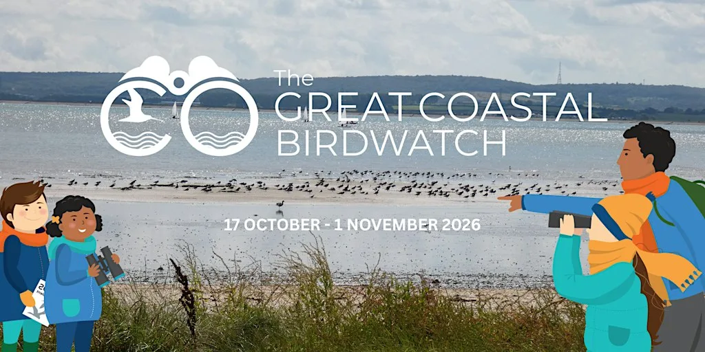 Great Coastal Birdwatch Guided Walk at Higham Marshes