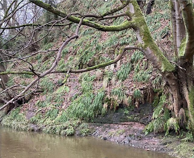 Practical Volunteer Day - Geological Restoration