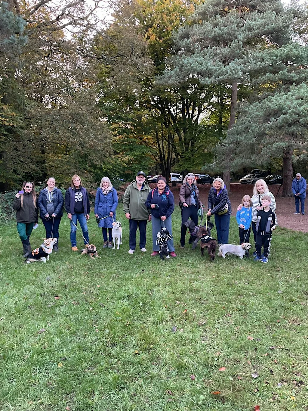 Waggy Walks go wild - Halloween session at Burnham Beeches Café and Information Point