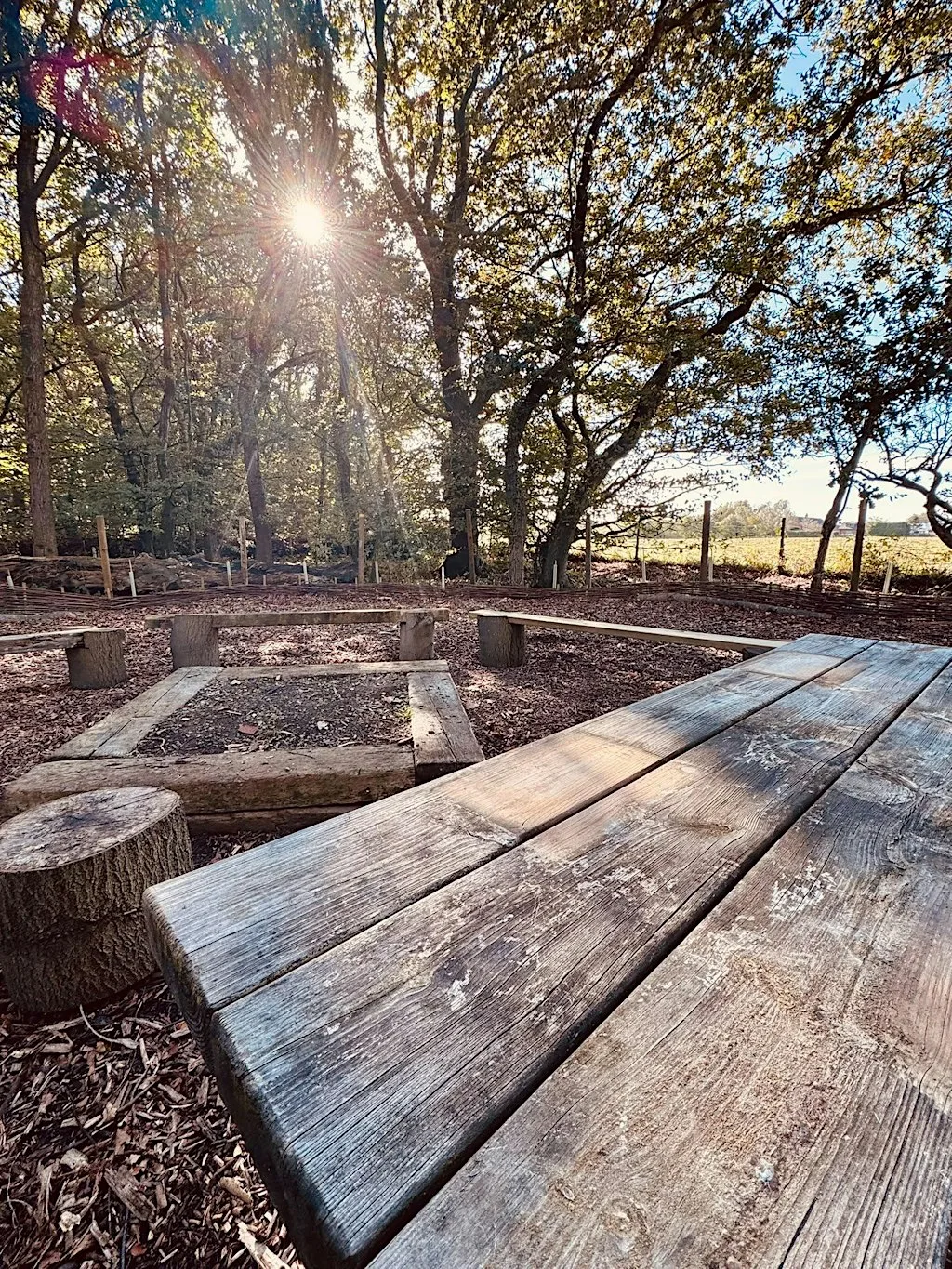 Green Town Forest School - Autumn Magic