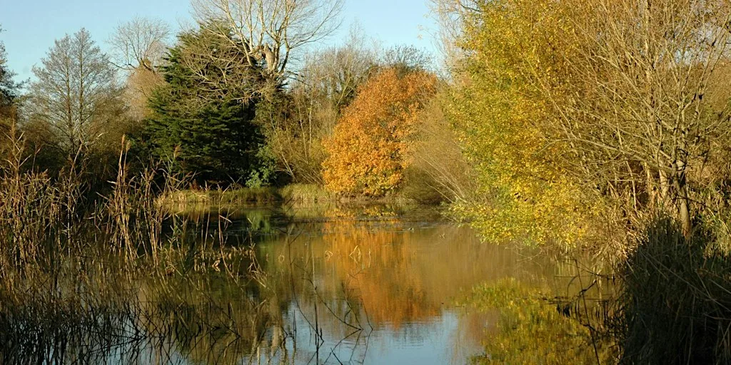 Depicting Landscape in Art – Going into winter, Henfield (100337035) at Woods Mill