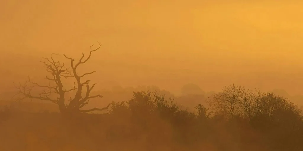 Depicting Landscape in Art – Winter light and colours, Henfield (100337035)