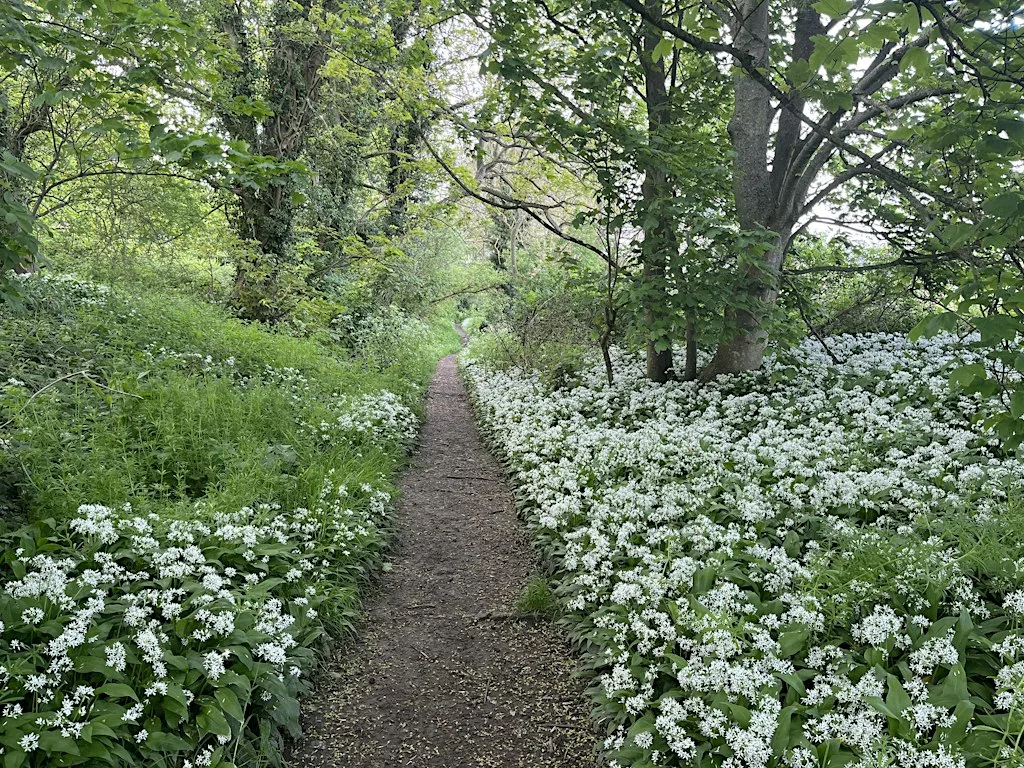 A Way to Live - A Day for those Seeking Fresh Direction in their Lives