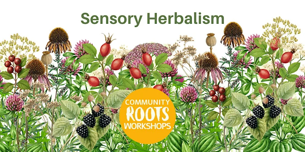 Sensory Plant Medicine Morning