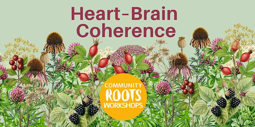 Heart–Brain Coherence Practice