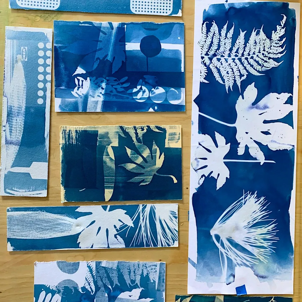 Introduction to Cyanotype Printmaking at Carousel Print Studio, Exchange Place Studios