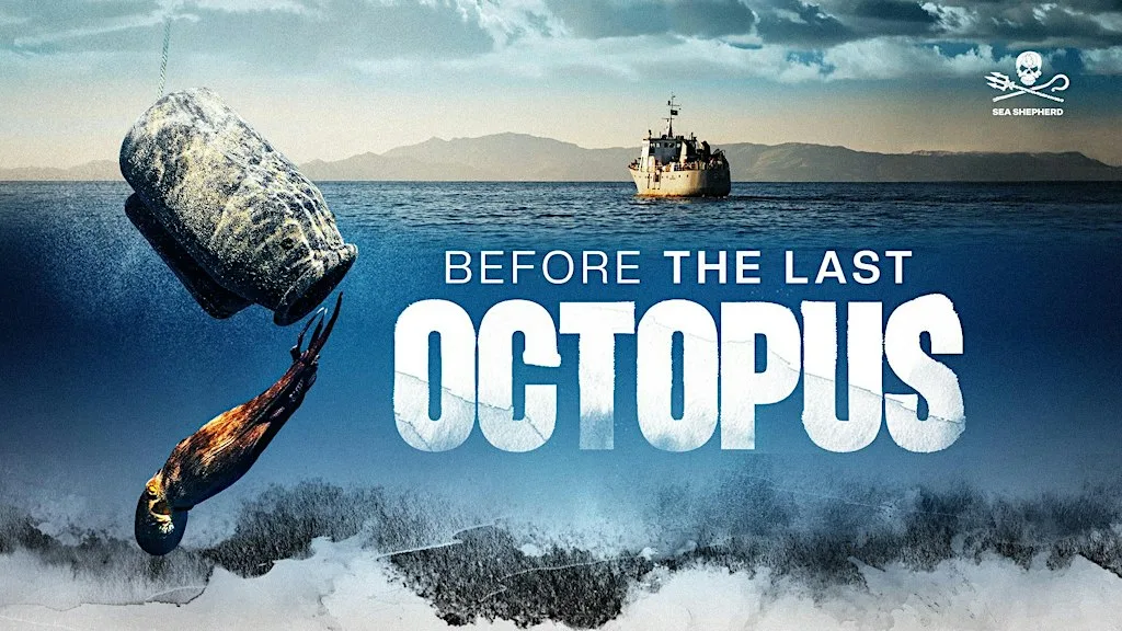 An Evening with Sea Shepherd UK - Presented by Rising Tide at Newquay Orchard