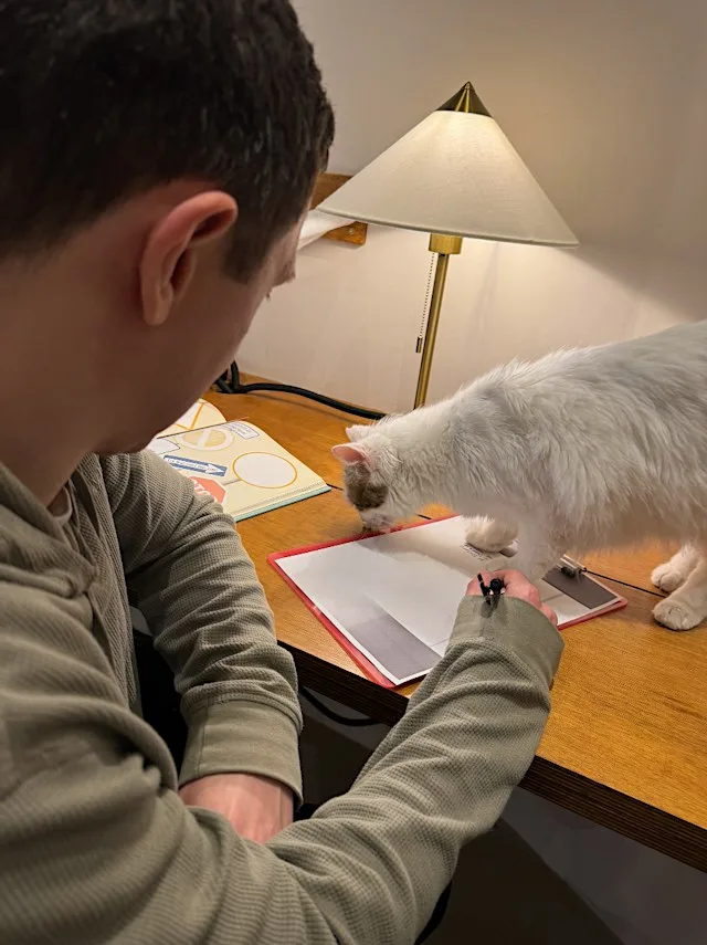 Creative Writing with Cats: A love letter to yourself at Purrfect Space