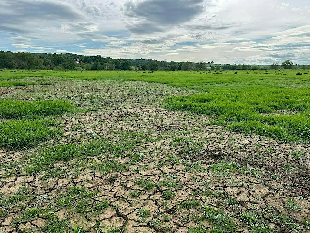 Climate Resilience on Intensive Grassland Farms; Herbal leys & Agroforestry