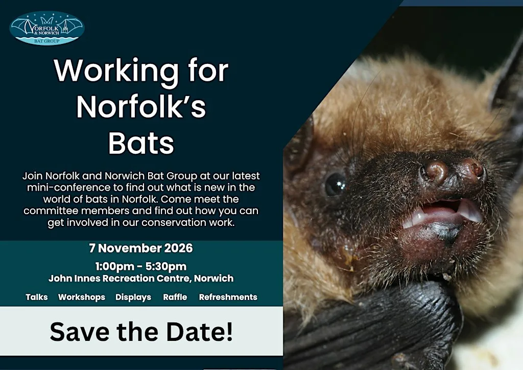 Working for Norfolk's Bats 2026 at John Innes Centre