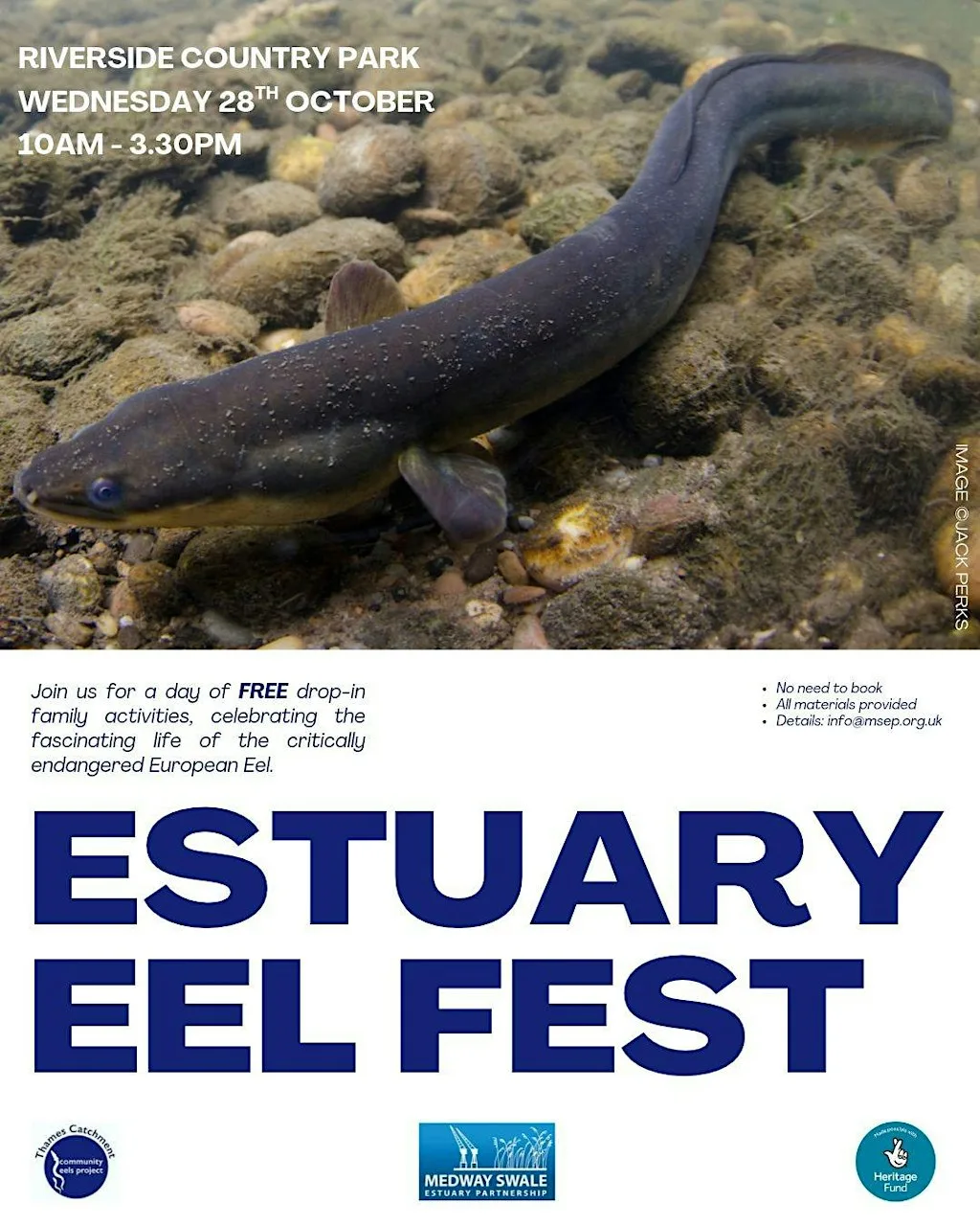 Eel Fest - Free Family Event at Riverside Country Park