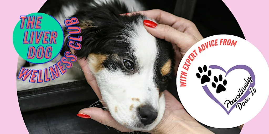 Dog-Friendly Wellness Club with The Liver Dog and Pawsitively Does It at Phoenix Coffee