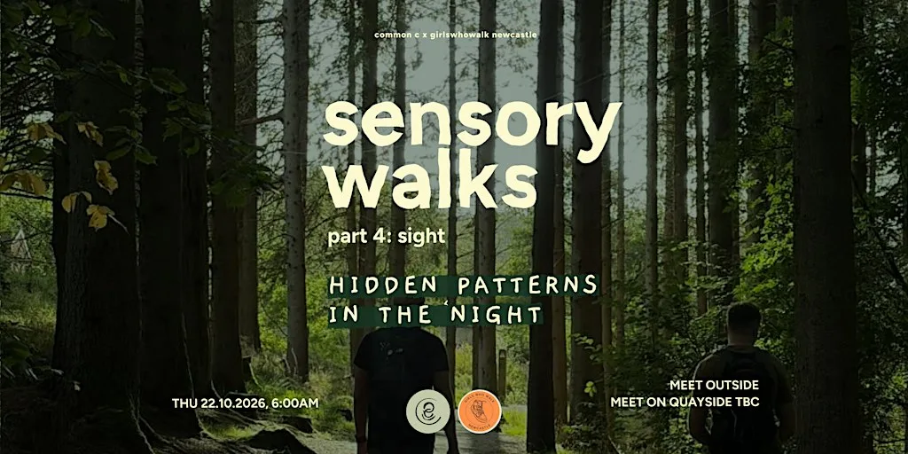 sensory walks: Hidden Patterns in the Night