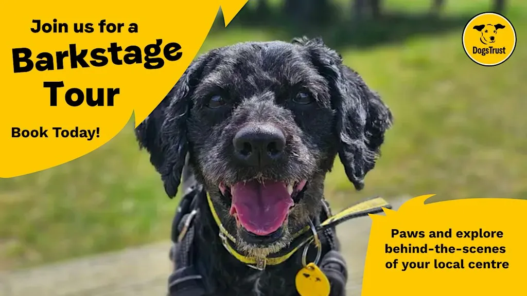 Barkstage Pass Tour