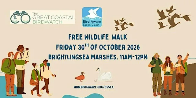 Great Coastal Birdwatch Wildlife Walk - Brightlingsea