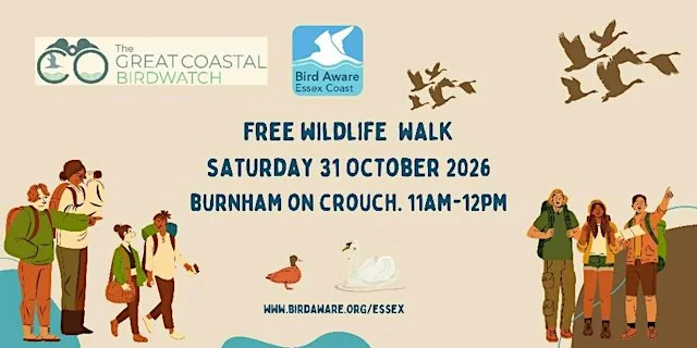 Great Coastal Birdwatch Wildlife Walk - Burnham-on-Crouch