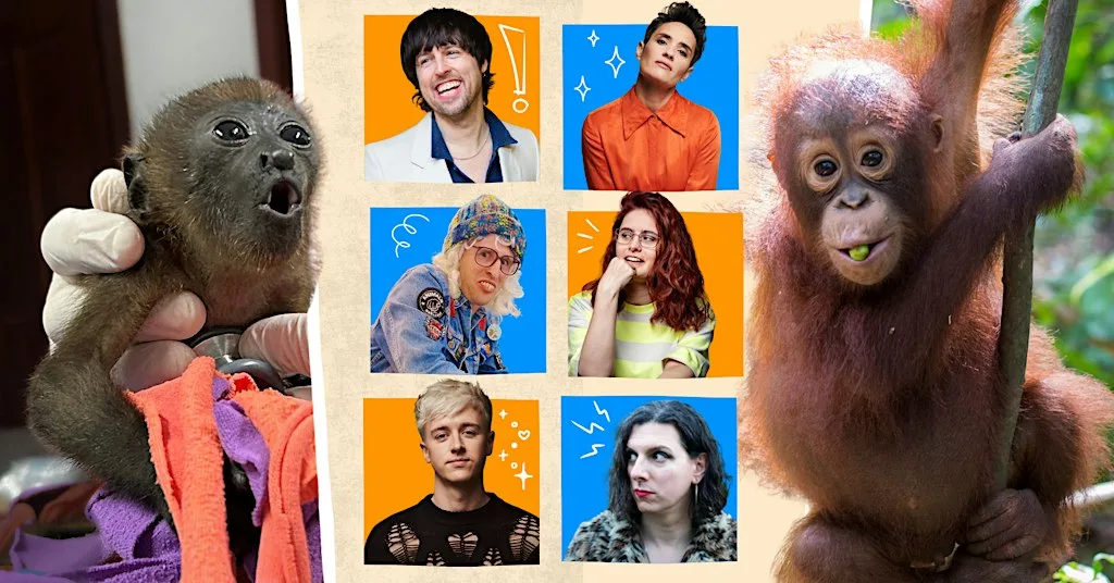 Stand Up For Animals Comedy Night