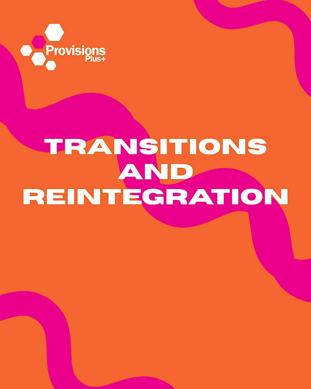 Transitions and Reintegration Training at Provisions Plus+