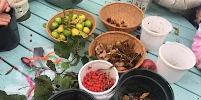 Seed Gathering Day at Porthkerry Country Park