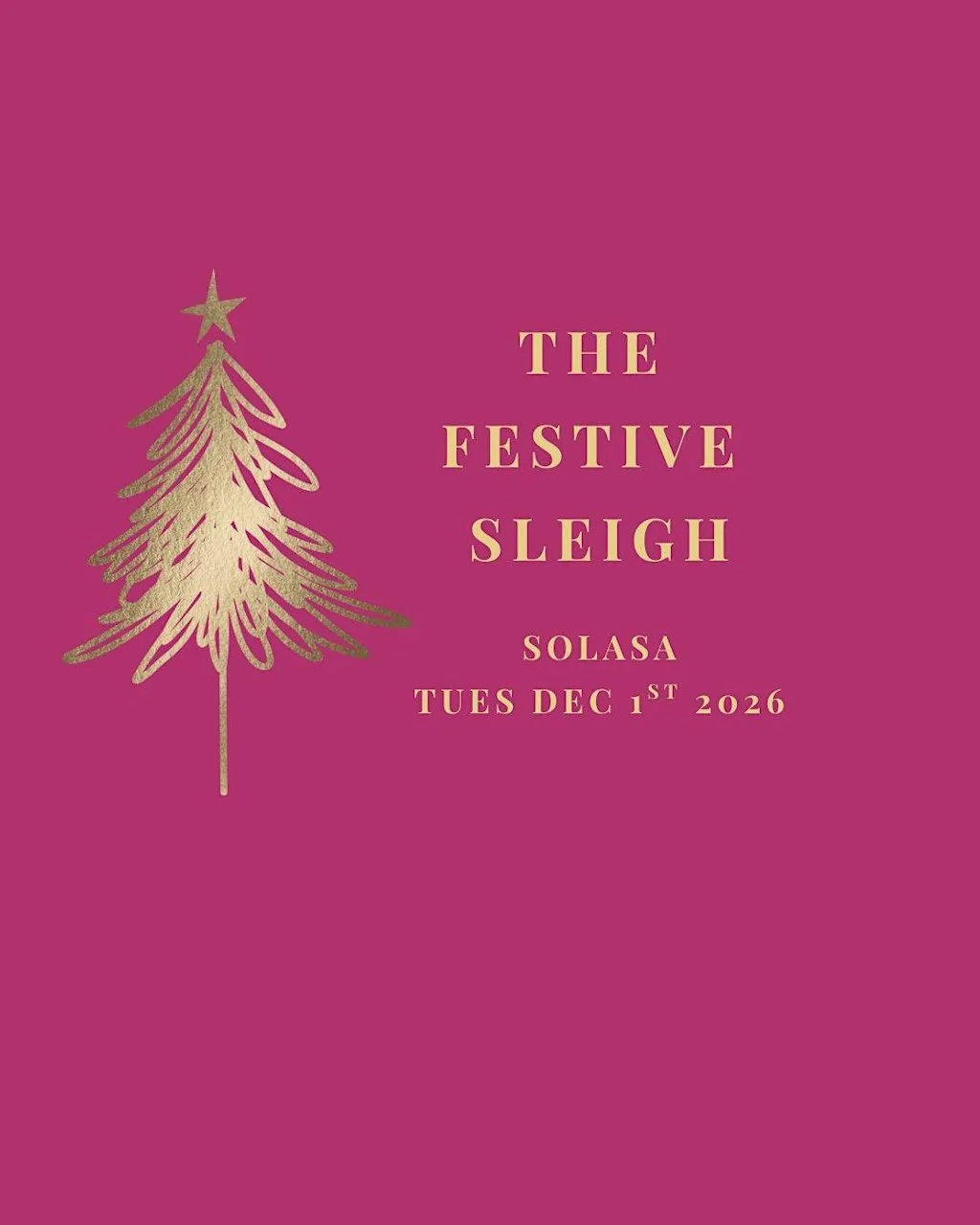 'The Festive Sleigh' - Solasa