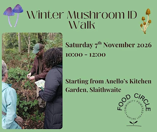Winter Mushroom ID Walk at Anello Kitchen Garden